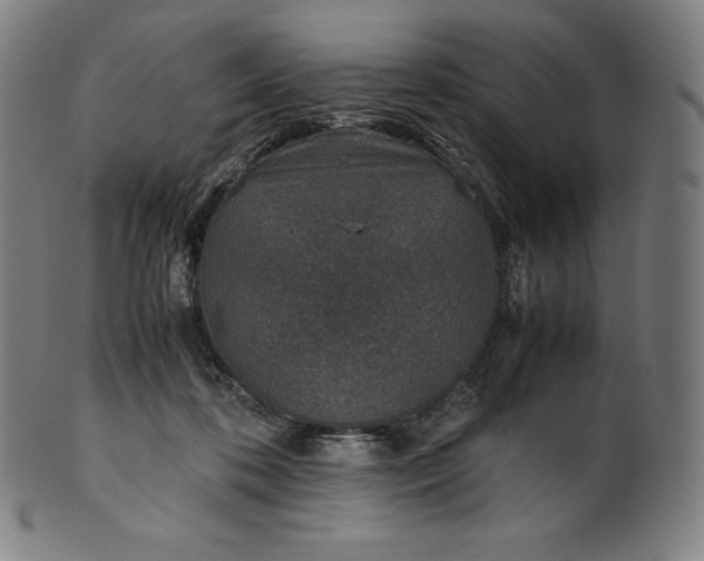 X0000101190316200807110951