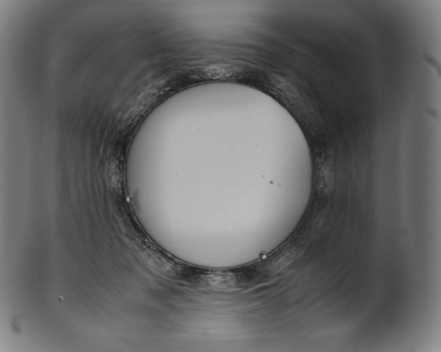 X0000101190317200807110951