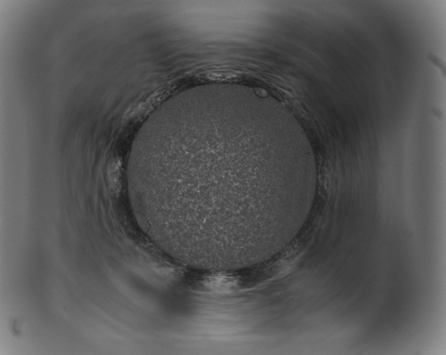 X0000101190319200807110951