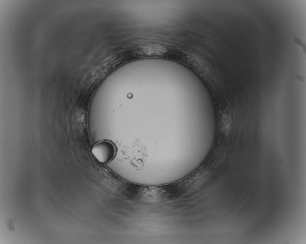 X0000101190321200807110951