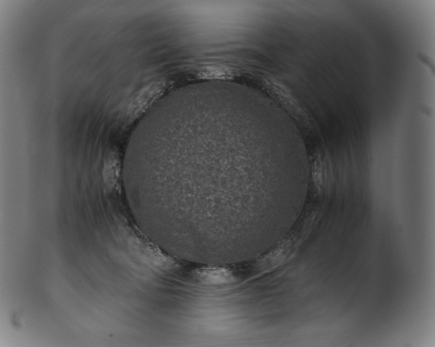 X0000101190322200807110951