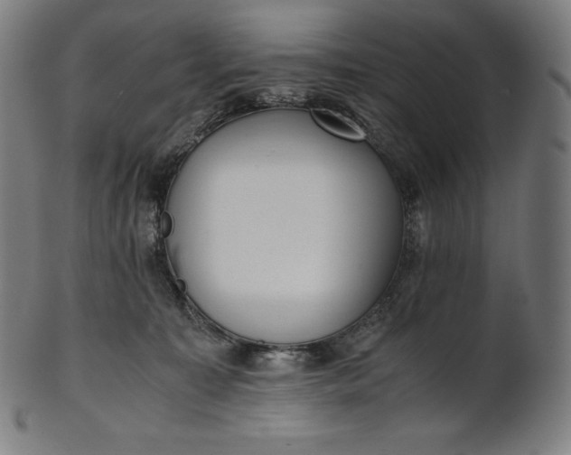 X0000101190323200807110951