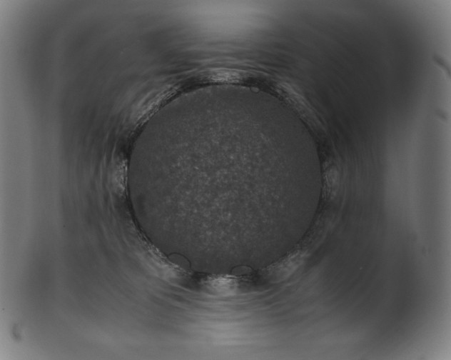 X0000101190325200807110951