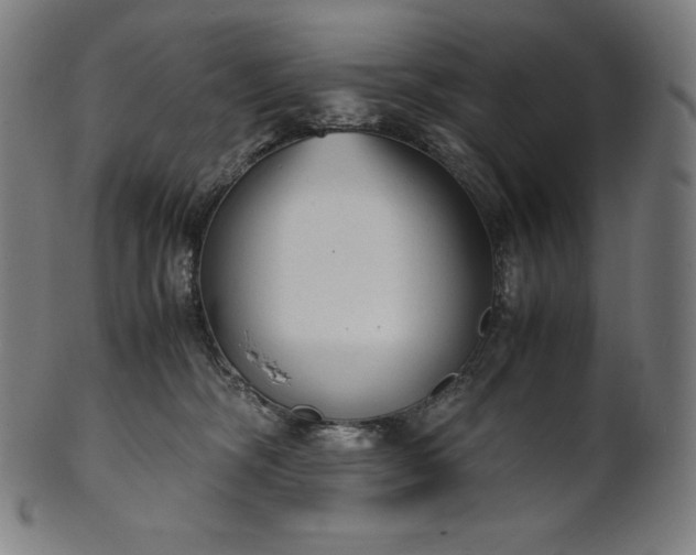 X0000101190326200807110951