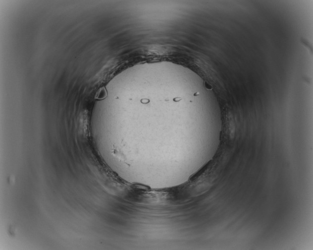X0000101190328200807110951