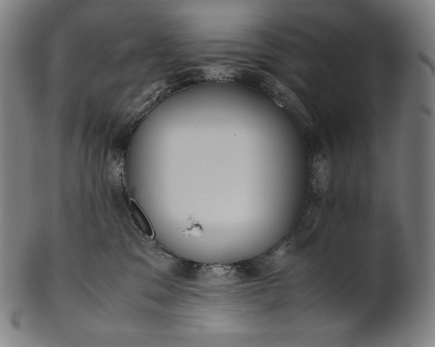 X0000101190329200807110951