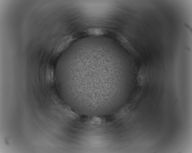 X0000101190330200807110951