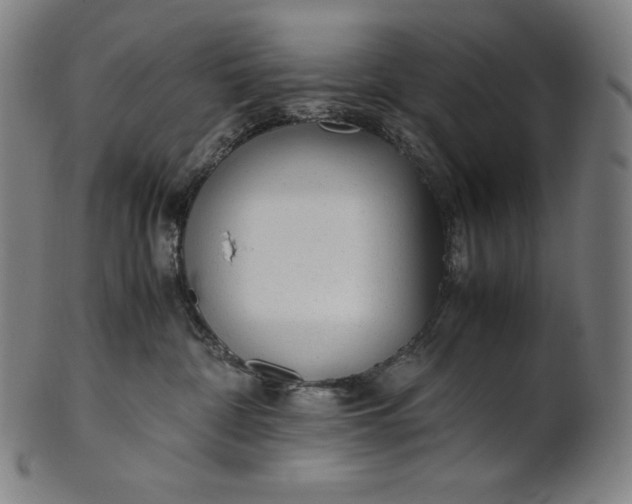 X0000101190332200807110951