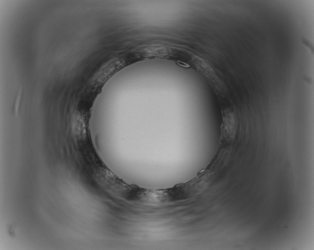 X0000101190333200807110951