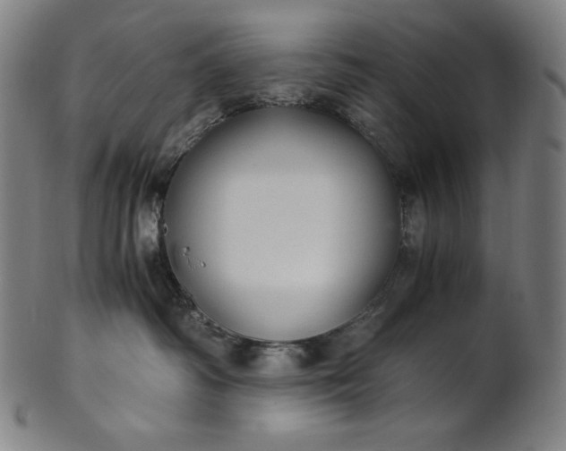 X0000101190334200807110951