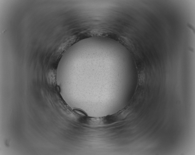 X0000101190335200807110951