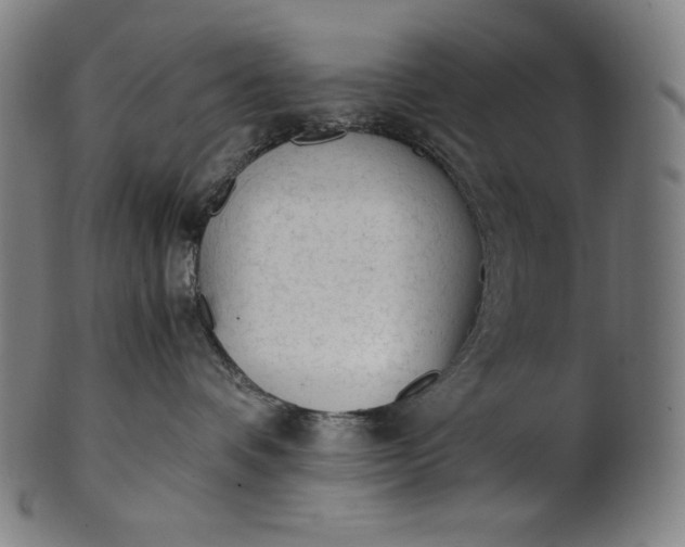 X0000101190336200807110950