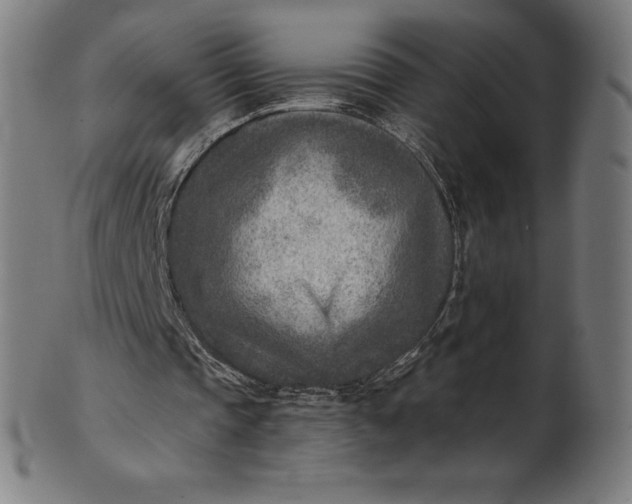 X0000101190337200807110950