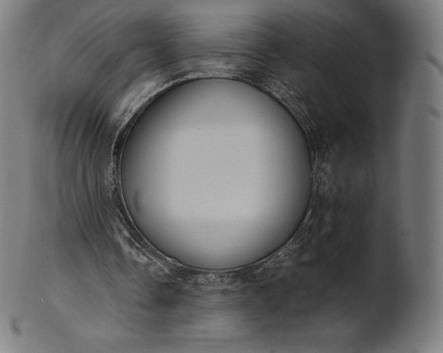 X0000101190338200807110950