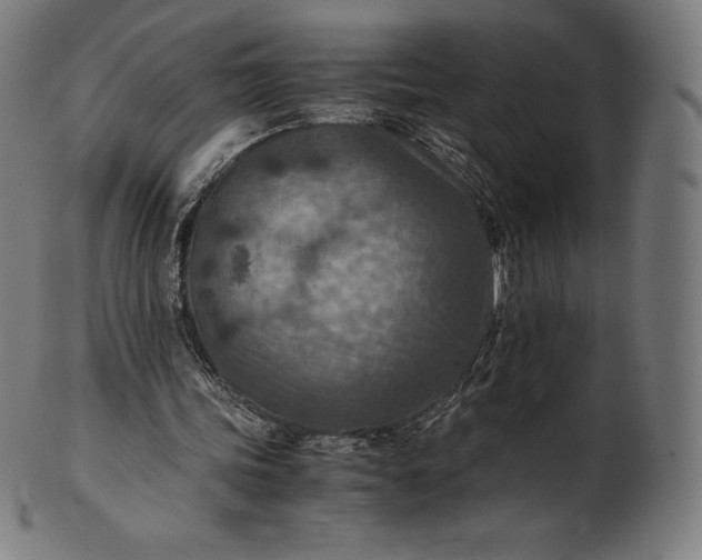 X0000101190339200807110950