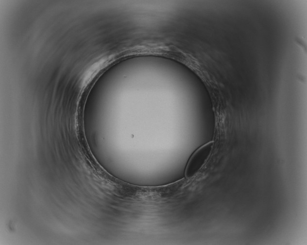 X0000101190340200807110950