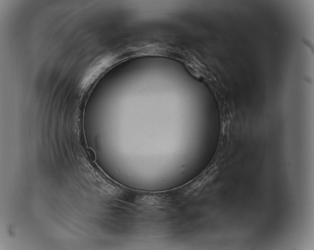 X0000101190341200807110950