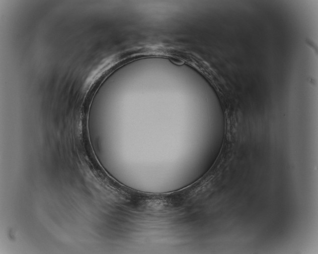 X0000101190344200807110950