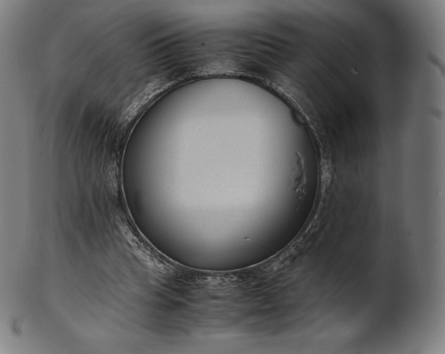 X0000101190345200807110950