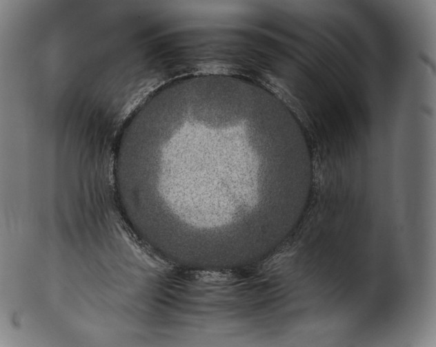 X0000101190347200807110950