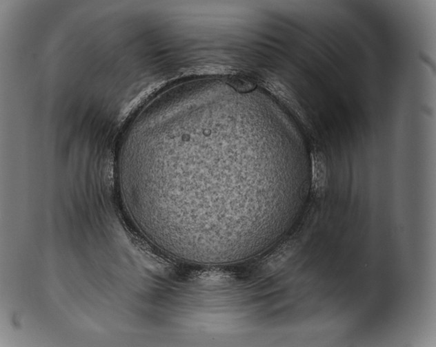 X0000101190348200807110950
