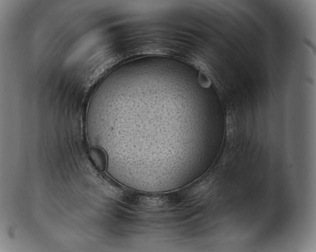 X0000101190349200807110950