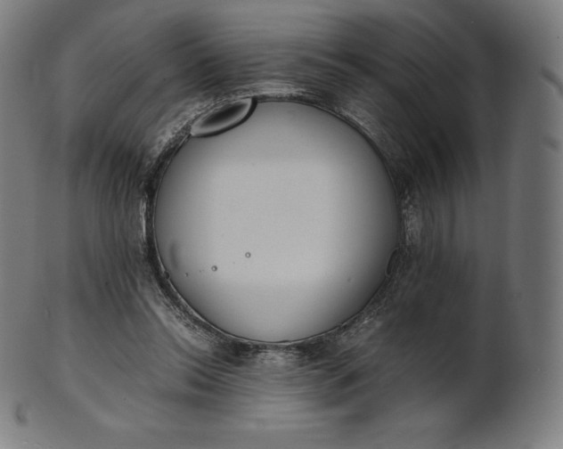 X0000101190350200807110950
