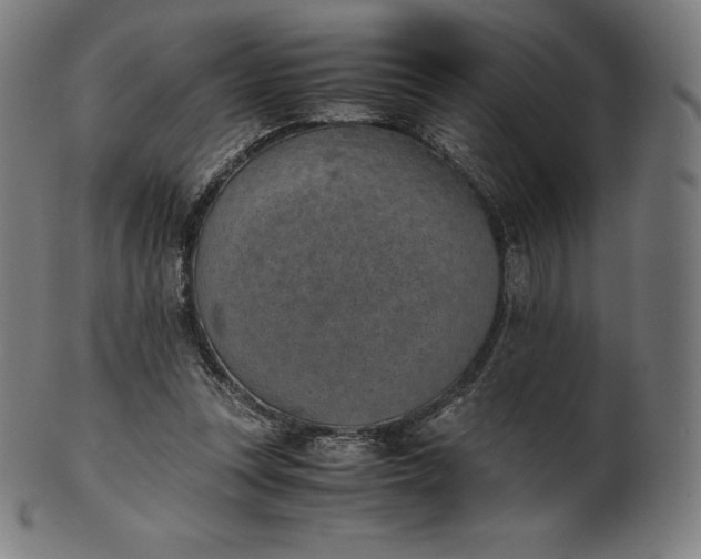 X0000101190351200807110950