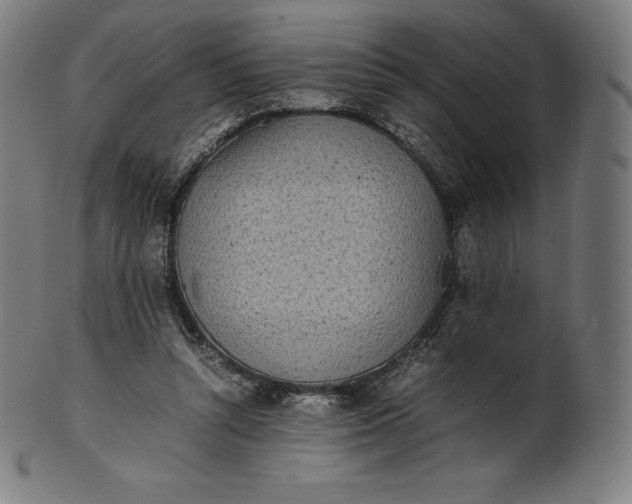 X0000101190352200807110950
