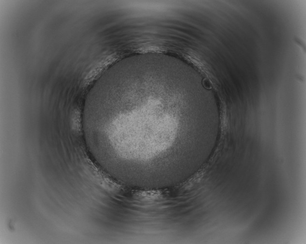 X0000101190353200807110950