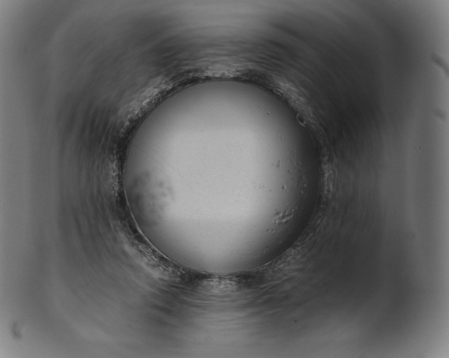 X0000101190354200807110950