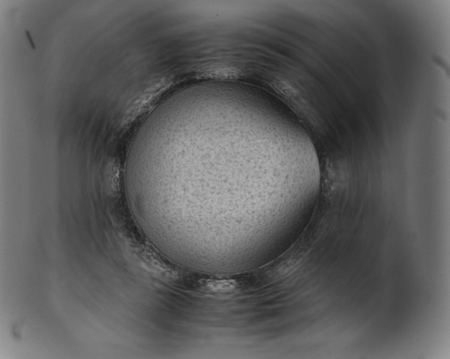 X0000101190355200807110950