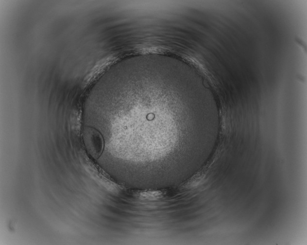 X0000101190357200807110950