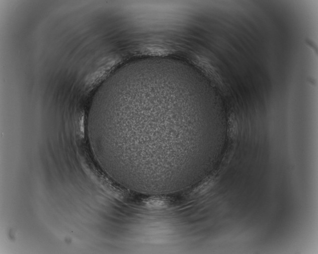 X0000101190358200807110950