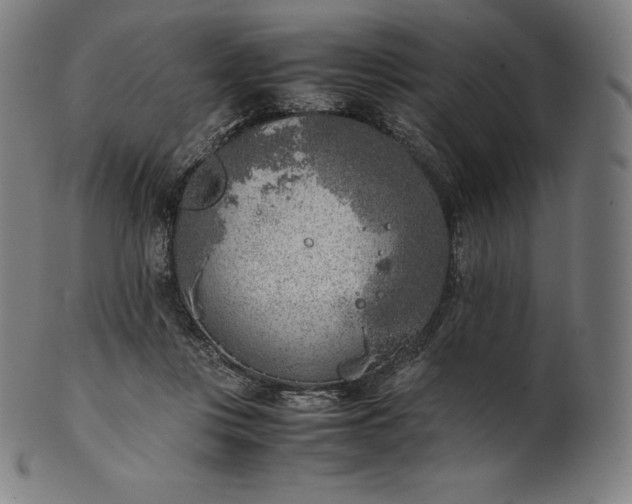 X0000101190359200807110950