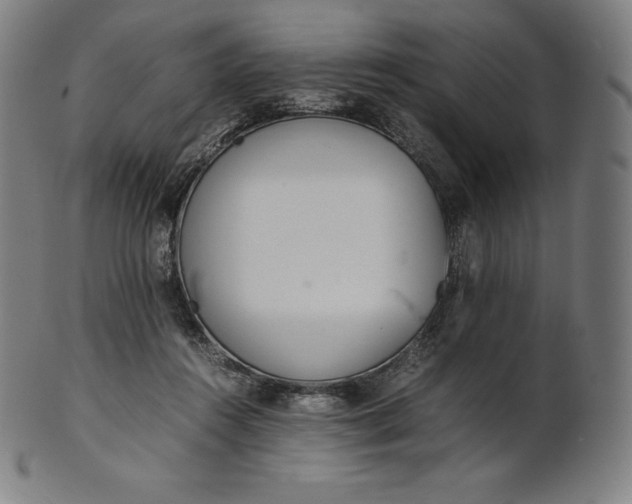 X0000101190360200807110950