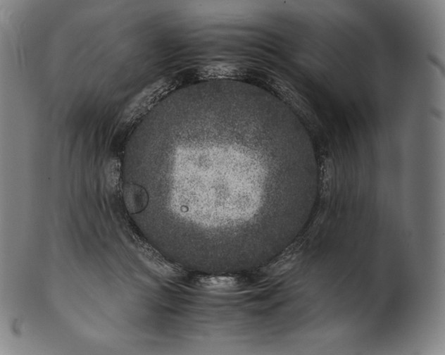 X0000101190361200807110950