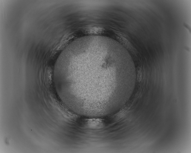 X0000101190363200807110950