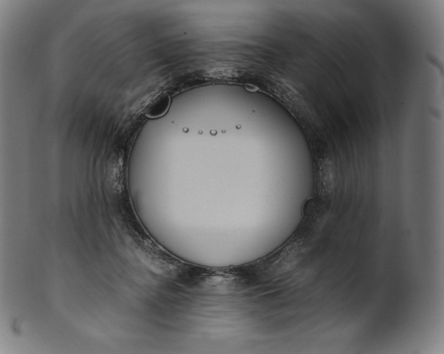 X0000101190364200807110950