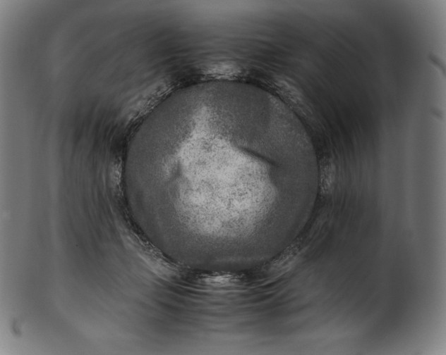 X0000101190365200807110950