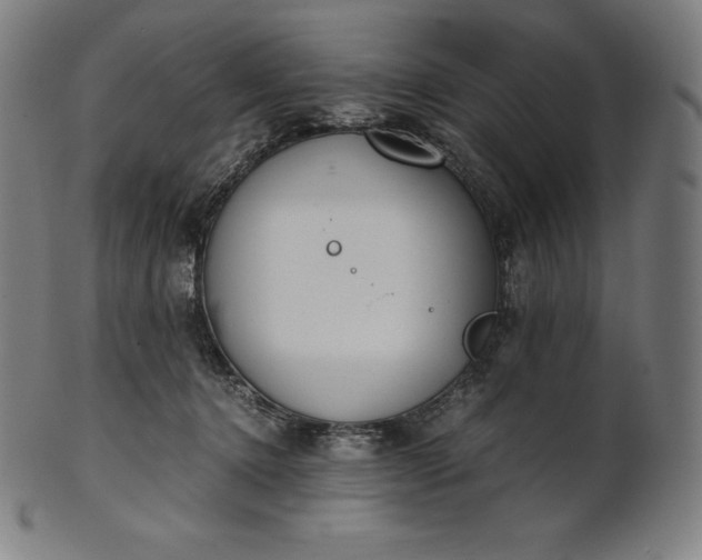 X0000101190368200807110950