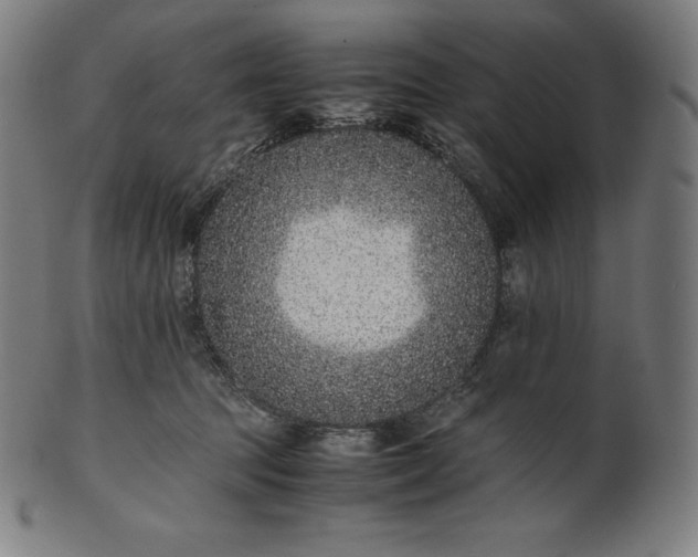X0000101190369200807110950
