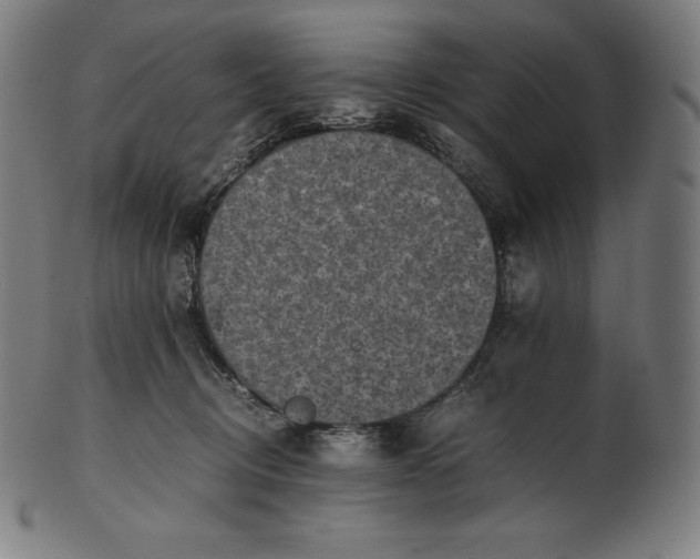 X0000101190370200807110950