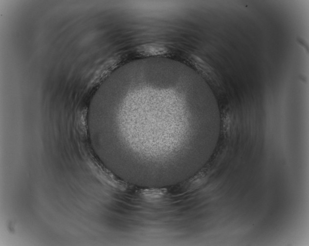 X0000101190373200807110950