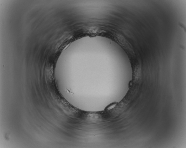 X0000101190376200807110950