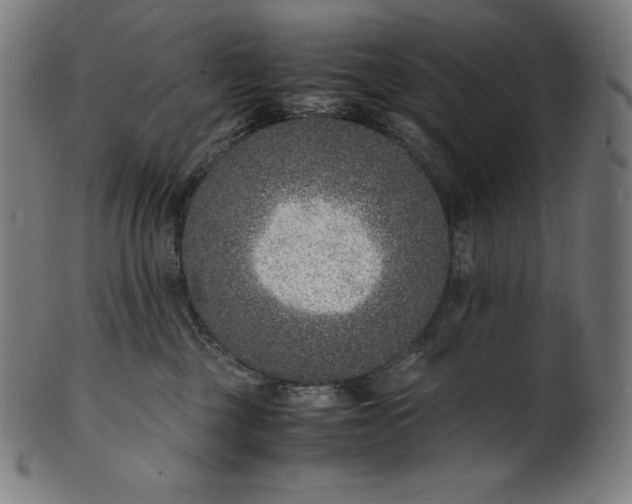 X0000101190377200807110950