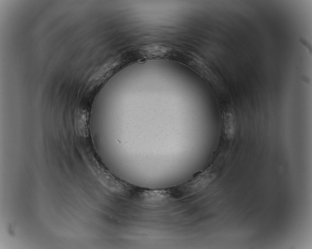 X0000101190378200807110950
