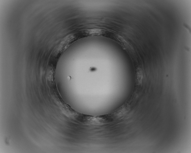 X0000101190379200807110950