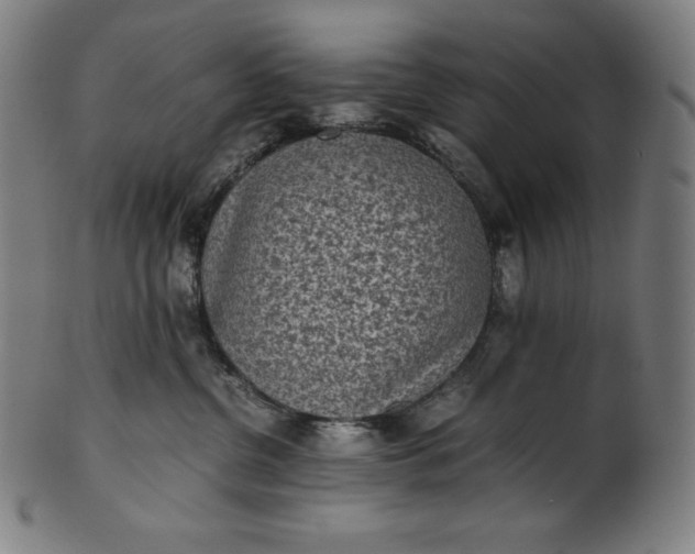 X0000101190380200807110950