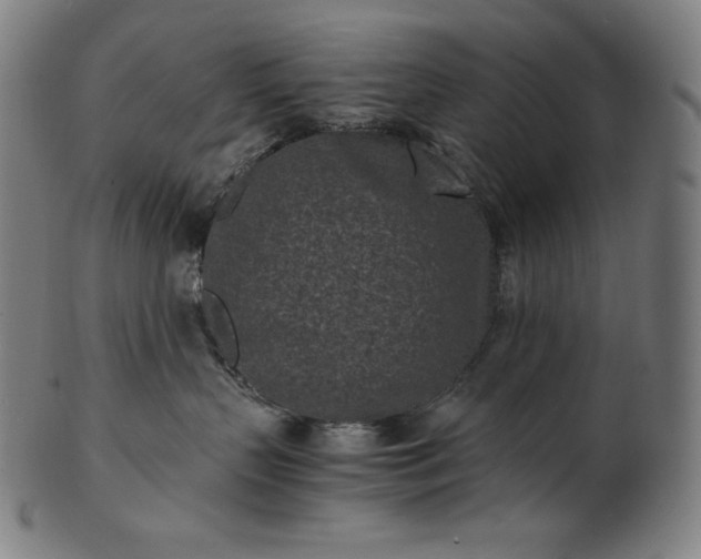 X0000101190383200807110950